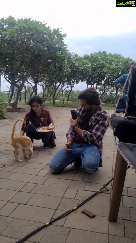 Khushi Dubey Instagram - On public demand😂❤️ In frame: 2 billus and me.😊 . . . #khushidubey #zaynibadkhan #yash #chikki #aashiqanaonhotstar #Aashiqana #hotstar #funny #fun #sets #cat #catlovers #cute #bts #behindthescenes Madh Island, Mumbai