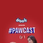 Kiara Advani Instagram - Lights, camera, DROOLS! 🎥 We’re thrilled to have the scintillating KIARA ADVANI join the Drools family as our brand ambassador & the very first guest on our PAWCAST! 🐾 Watch out as she paws-itively charms you with her love for pets and Drools’ top-notch nutrition Hope y’all enjoy the first episode of this pawcast🎙cause we’ll be back soon! Until next time, woof woof 🐾 #KiaraXDrools @kiaraaliaadvani #droolsindia #feedrealfeedclean #kiaraadvani #podcast #petloversclub #pawcast #petsofindia #petstagramdaily #tuesdaypost