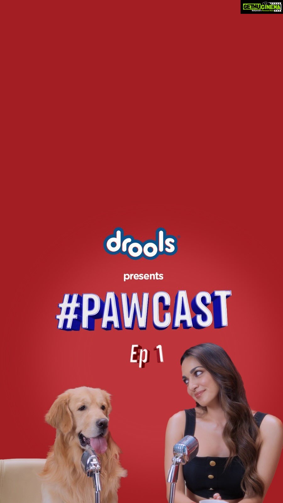 Kiara Advani Instagram - Lights, camera, DROOLS! 🎥 We’re thrilled to have the scintillating KIARA ADVANI join the Drools family as our brand ambassador & the very first guest on our PAWCAST! 🐾 Watch out as she paws-itively charms you with her love for pets and Drools’ top-notch nutrition Hope y’all enjoy the first episode of this pawcast🎙cause we’ll be back soon! Until next time, woof woof 🐾 #KiaraXDrools @kiaraaliaadvani #droolsindia #feedrealfeedclean #kiaraadvani #podcast #petloversclub #pawcast #petsofindia #petstagramdaily #tuesdaypost