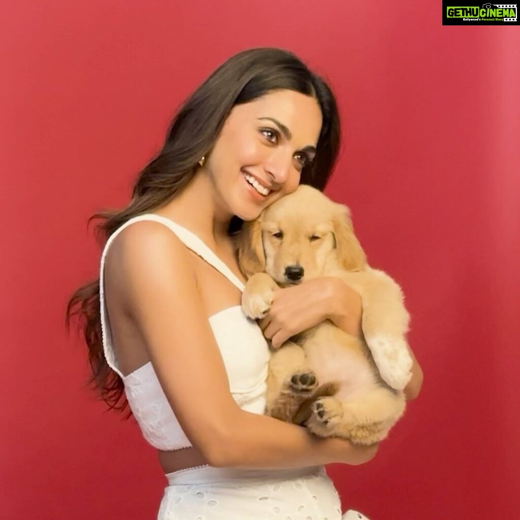 Kiara Advani Instagram - We got something pawsome to share with you 🥰🐾 Stay tuned 🐶🤗