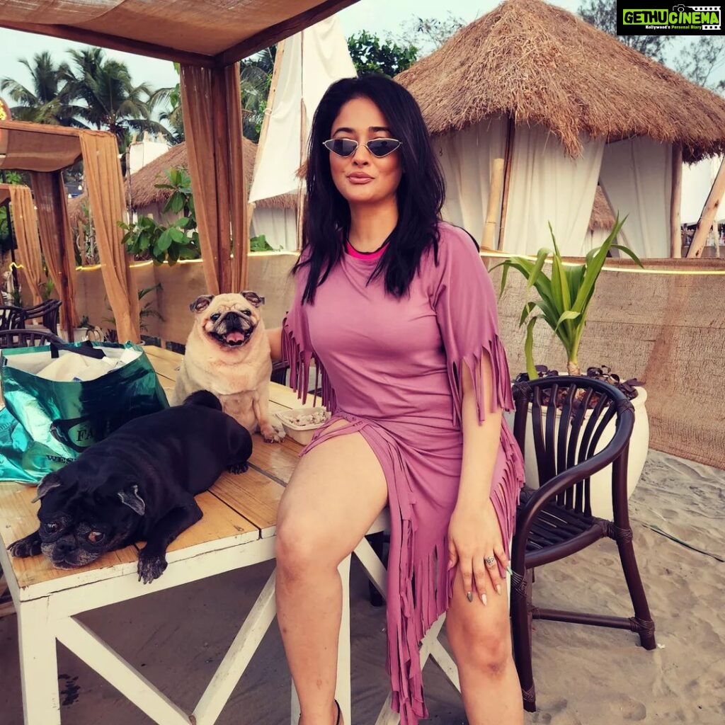 Kiran Rathod Instagram - Love is a four-legged word. #barfi#chumchum#angel#pugs#puglove#pugmom#petsofinstagram#pugsofinstagram#unconditionallove#💝 Morjim beach Goa