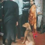 Kiran Rathod Instagram - "Nobody can fully understand the meaning of love unless he's owned a dog. A dog can show you more honest affection with a flick of his tail than a man can gather through a lifetime of handshakes." – Gene Hill, author of A Hunter's Fireside Book and Hill Country 🥰 😍 🐕 THEY ALSO DESERVE LOVE ❤️ WHY TO SHOW OR WASTE YOUR LOVE AND MONEY TOM ON CHEATEERS AND FRAUDS ..😆😆😆😅🤣 EVENTUALLY WILL LEAVE ((((((((DONT FORGET )🥸🥶🥱🤡👹👺😈 MAKE A NEW FRIEND THIS VALENTINES SHOW THEM SOME LOVE AND FEED THEM LITTLE 💕 (..COST U only 1 percent of your girls gift 😆😆 .THAN FEEDING YOUR GF/BF 😅🤣 TRUST ME You will go back home peacefully and calm ..And HAPPY 😊 😃 HOPE U CONTINUE YPUR FRIENDSHIP WITH ❤️‍🩹 HAPPY VALENTINES LOVERS 🥰😍🤩😘😘😘😘 This Valentines spread love to homeless dogs ..strays. .at least Start toh karo ...#dogs #strays #homelessdog #feedstraydogs #feedanimals #Repost @help.wala with @let.repost • • • • • • साहब इनको भी कुछ खिला दिया करो, इनको नहीं पता कि, कुछ खाने के लिए पैसे लगते हैं.!💔🙏 #helpwala #helpwalateam #dogslife #dogstagram #dogrescue #dogscare #doglovers #doglovers #dogsofinsta #dogreels #animalcaretaker #animalcare #animalrescue #animallovers #animalfeeding #helpinganimals #helpindia #helpinghands #helpingneedy #voiceforthevoiceless #voiceforanimals #aajtak #aajtaklive #sonusood