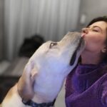 Kratika Sengar Instagram - Happy 3rd Birthday my Biggie Boy. U r our lil bt not so lil puppy.. We love u❤️
