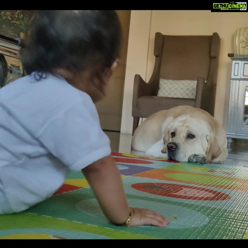 Kratika Sengar Instagram - Happy 3rd Birthday my Biggie Boy. U r our lil bt not so lil puppy.. We love u❤