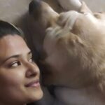 Kratika Sengar Instagram - Happy 3rd Birthday my Biggie Boy. U r our lil bt not so lil puppy.. We love u❤️