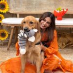 Kriti Kharbanda Instagram - My kinda #saturday 💟 . . . #saturdaymood #puppylove #dogsofinstagram #cooper