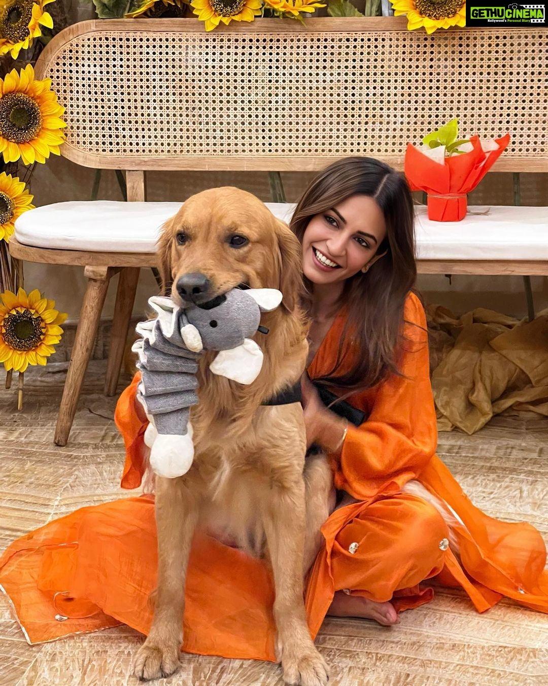 Kriti Kharbanda Instagram - My kinda #saturday 💟 . . . #saturdaymood #puppylove #dogsofinstagram #cooper