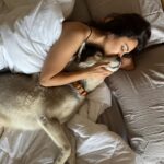 Kriti Kharbanda Instagram - Spending a lazy afternoon in bed with my little munchkin! Life is good ♥️ . . . #dogsofinstagram #cutiepatootie #drogo