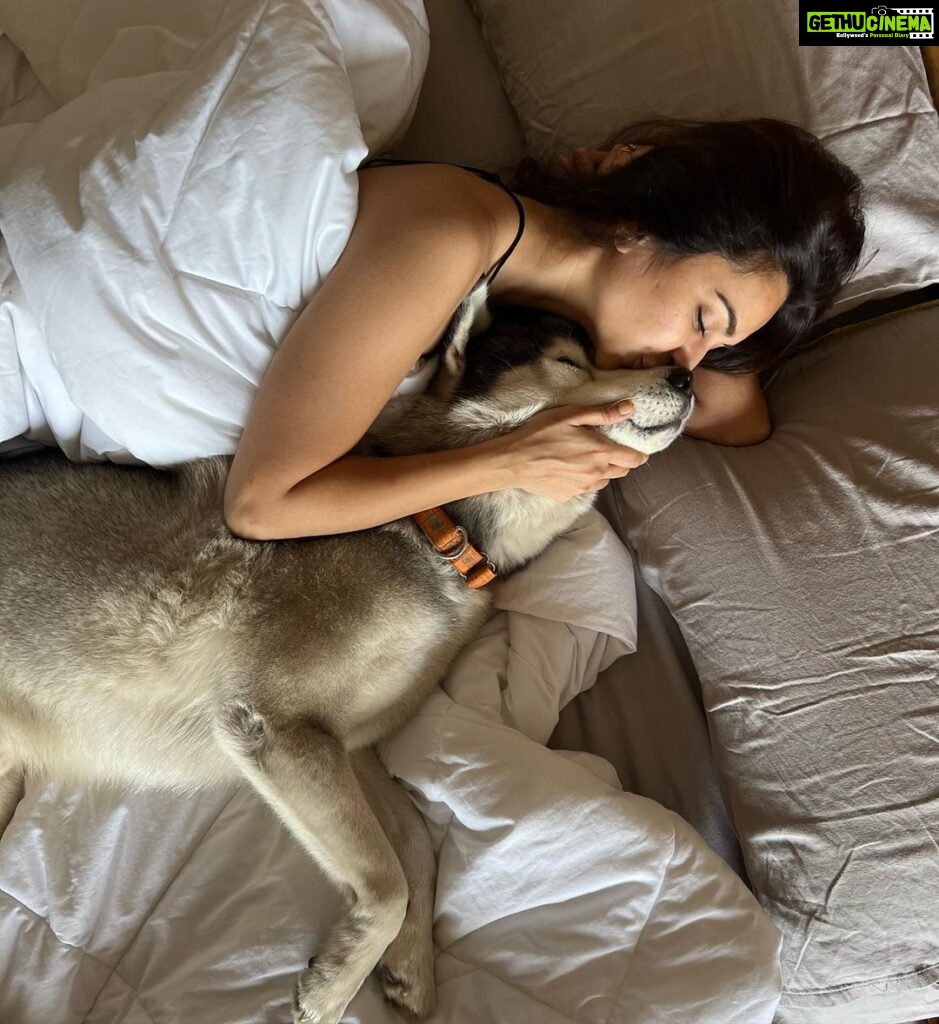 Kriti Kharbanda Instagram - Spending a lazy afternoon in bed with my little munchkin! Life is good ♥️ . . . #dogsofinstagram #cutiepatootie #drogo