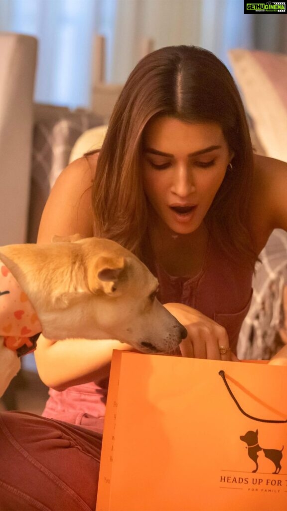 Kriti Sanon Instagram - When it feels like love, you know it’s HUFT. Here’s to #CelebratingLifeWithPets and all the mischief, naughtiness and joy they bring into our lives. Say Hi to the fabulous Bella and her parent, @kritisanon 🙌🏼🐶 PS: Got a naughty furry friend at home? We want to hear about their adorable moments. Come, share the love with us. 🐶🐱 #HUFT #HeadsUpForTails #HUFTXKritiSanon #PetParents #PetProducts #KritiSanon #HeadsUpForTailsFoundation #HUFTForFamily #HUFTTales