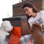 Kriti Sanon Instagram – It’s Phoebe and Disco’s fav pet care brand’s birthday!!! Happy 15th Birthday, @headsupfortails! 🧡🐩

HUFT is celebrating their birthday with a lot of amazing offers, launches and freebies. 😍

✅ Also, don’t forget to use code HUFTKRITI10 to get a 10% discount on all HUFT products

#HUFT #HeadsUpForTails #HUFTXKritiSanon #PetParents #PetProducts #KritiSanon #HeadsUpForTailsFoundation