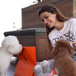 Kriti Sanon Instagram - It’s Phoebe and Disco’s fav pet care brand’s birthday!!! Happy 15th Birthday, @headsupfortails! 🧡🐩 HUFT is celebrating their birthday with a lot of amazing offers, launches and freebies. 😍 ✅ Also, don’t forget to use code HUFTKRITI10 to get a 10% discount on all HUFT products #HUFT #HeadsUpForTails #HUFTXKritiSanon #PetParents #PetProducts #KritiSanon #HeadsUpForTailsFoundation