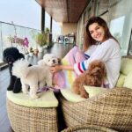 Kriti Sanon Instagram - Its a paw-fect morning! 🐶 ☀️ 📸 : @nupursanon