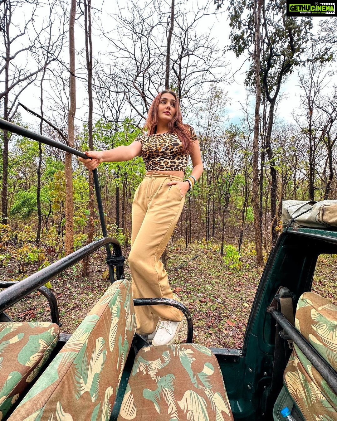 Kritika Sharma Instagram - Pench jungle camp @penchjunglecamp is my recommendation for an amazing jungle safari experience for all the animal lovers out there! Situated in MP border just two hours away from Nagpur is a perfect gateaway! The hospitality is amazing ! You can opt for variety of rooms my favourite was the luxury tent rustic yet classy with all the best amenities in the midst of nature ! Pench Jungle Camp