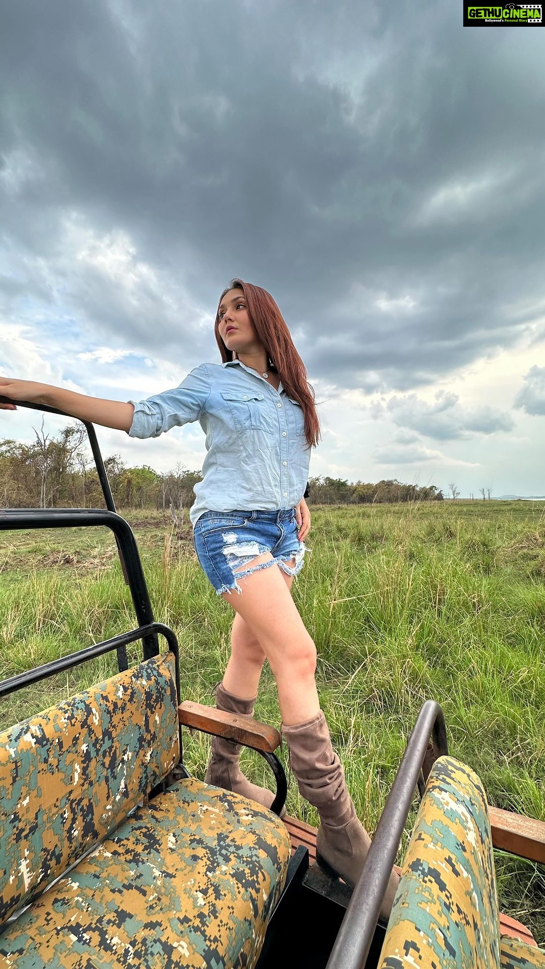 Kritika Sharma Instagram - A mini vlog of my stay at @tadobajunglecamp_ ❤️ near Nagpur ! Perfect choice for your first time jungle safari , trust me you won’t be disappointed! Highly recommended ! I spotted a mighty beautiful tiger! It was breathtaking ! Tadoba Jungle Camp
