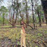 Kritika Sharma Instagram – 🍀

#jungle #nature #safari #girl #model #indian #travel #maharashtra Pench Tiger Reserve, Maharashtra