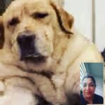Kushboo Instagram - Such moments melt your heart!! ❤️❤️💕 Having a conversation with my baby boy #LeoSundar, who is complaining and grumpy with mommy far away. ❤️❤️❤️❤️🤗🤗🤗🤗🤗