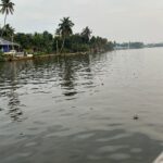 Lahari Shari Instagram - A day on the river restores the soul 🤍 #goodmorning #happyday #positiveenergy #refreshing #lifeisamazing #live #love Kerala - Kochi
