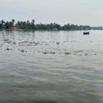 Lahari Shari Instagram - A day on the river restores the soul 🤍 #goodmorning #happyday #positiveenergy #refreshing #lifeisamazing #live #love Kerala - Kochi