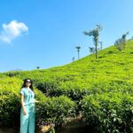 Lahari Shari Instagram - I believe a leaf of grass is no less than the journey-work of the stars.⭐️💚 #lovenature #happysoul #beatifulmorning #positivity #healingenergy #loveit #shootdiaries Kerala - Kochi