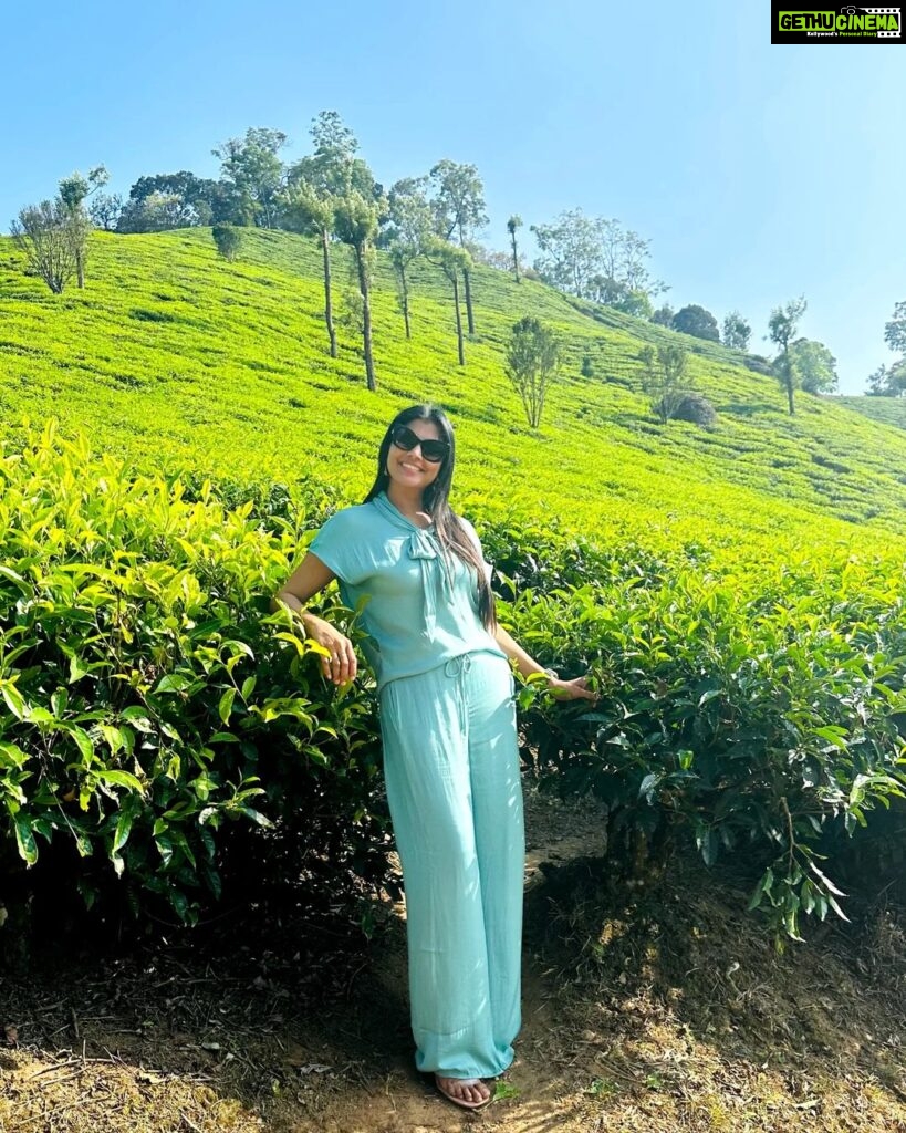 Lahari Shari Instagram - I believe a leaf of grass is no less than the journey-work of the stars.⭐️💚 #lovenature #happysoul #beatifulmorning #positivity #healingenergy #loveit #shootdiaries Kerala - Kochi