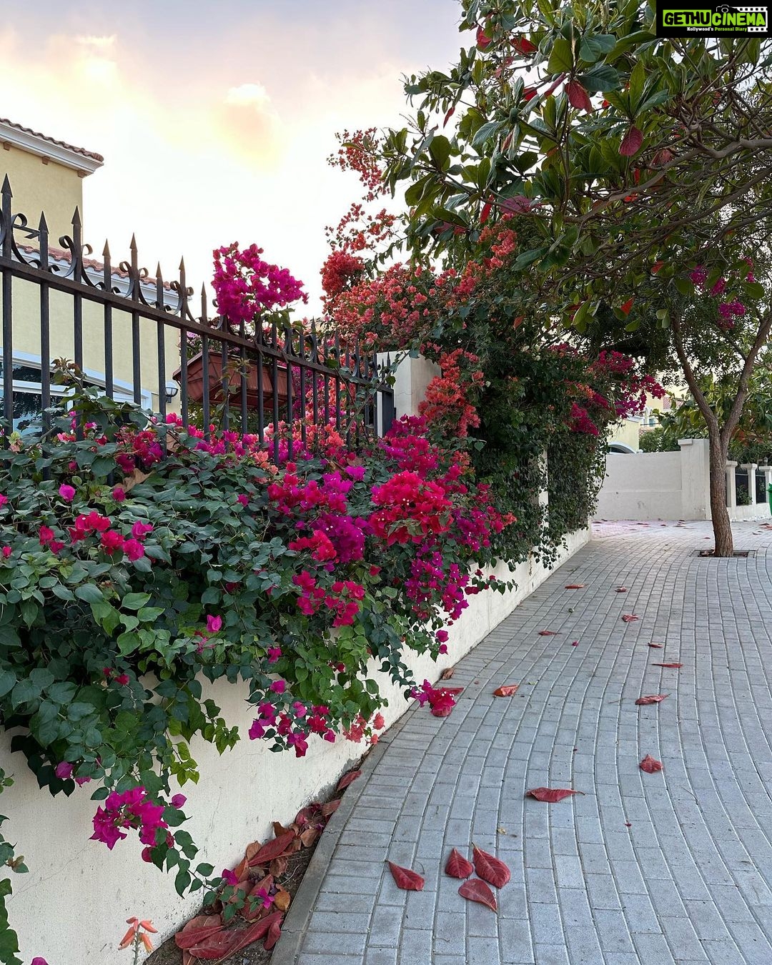 Lara Dutta Instagram - To be surrounded by so much natural beauty is a joy and blessing like no other!! March in full bloom!!! #gratitude #blessed