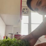 Lena Kumar Instagram - My experiments with gluten free eating. Green gram micro greens… 😘 #other #carbs #microgreens #cooking Kitchen
