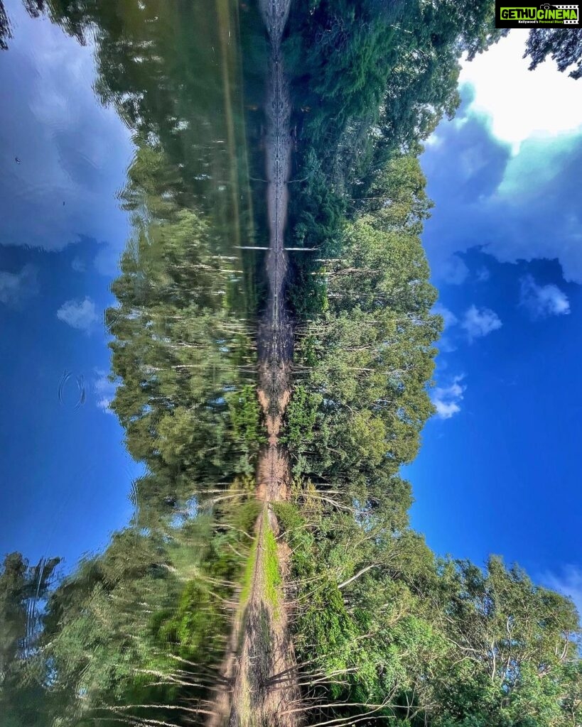 Lena Kumar Instagram - Heaven on Earth Turn your phone left 😊 #perspective #nature #reflection #water #sky #forest #nofilter Horsley Hills, India
