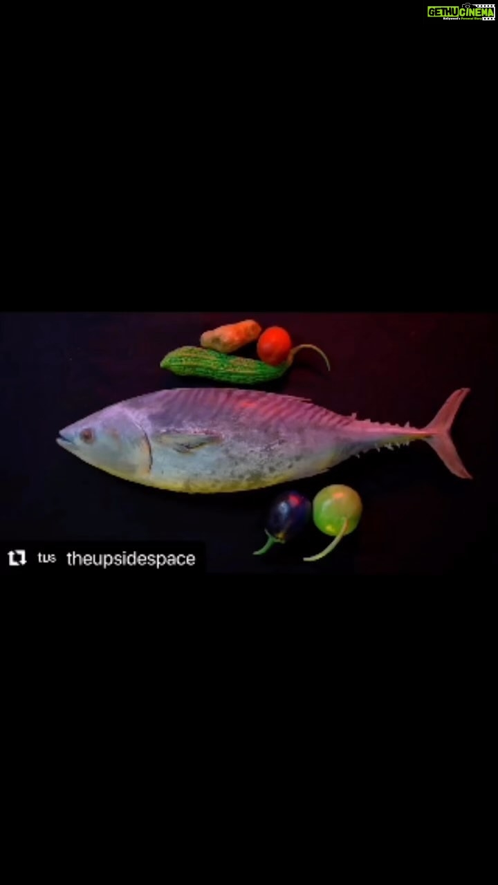 Lisa Ray Instagram - #Repost @theupsidespace with @use.repost ・・・ Suleman Faisal (@sulemanfaisal_ ) is a visual artist and educator currently based in Lahore, Pakistan. He works in various mediums, such as sculptures, videos, and performances. Suleman’s multidisciplinary artworks investigate the latent aggression present within humans and objects, and the minor acts of violence carried out through socially-acceptable activities such as cooking, hosting, or manufacturing. In Rhythm I, Faisal depicts how the traditional practice of cooking has an inherent aggressive element to it as it involves killing an animal or plucking live vegetation from the earth. As a pacifist who enjoys cooking and sharing meals, acts of violence like chopping, slicing, etc, are an antithesis of the joy of sharing. Thus the artist is confronted with a paradox. Rhythm I is up for sale on @theupsidespace as part of the exhibition, Before Meets After, curated by Ambereen Karamat.