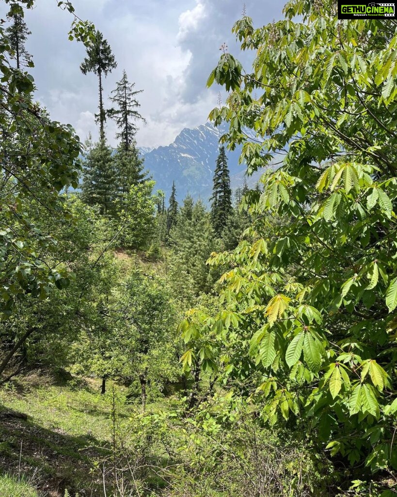 Lisa Ray Instagram - Sublime views of the Himalayas from #sitarahimalaya and one from a day trip to Lahaul. I know I’m obsessed and can easily spend hours merging with the mountains’ many moods. I’m sure there’s a few of you out there who similarly hear your soul sing gazing at these glorious peaks.