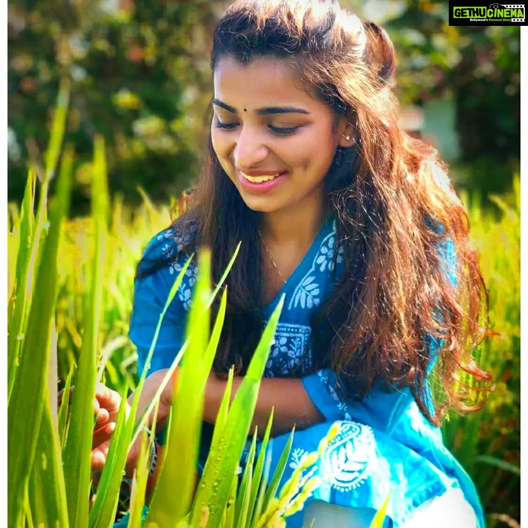 Lisha Chinnu Instagram - Think about all that you are, instead of what you are not...!!! #kerala #hometown #naturelovers #photography #loveforwork❤️ #lish #naturegeography #contentcreator #cirkleprandevents #loveyourself