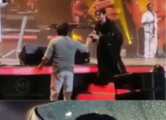 M.M. Manasi Instagram - Still processing this ♥️♥️ #VarisuAudioLaunch #Varisu #Ranjithame #mmmanasi #thalapathyvijay #moment #memory #treasure Nehru Indoor Stadium