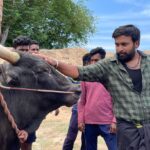 M. Sasikumar Instagram - வாழ்வோடு மல்லுக்கட்டு ! நம் அடையாளம் ஜல்லிக்கட்டு ! அனைவருக்கும் இனிய மாட்டுப் பொங்கல் நல்வாழ்த்துகள்! #maatupongal #jallikattu #HappyPongal2023