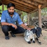 M. Sasikumar Instagram - GOAT 🐐 #village