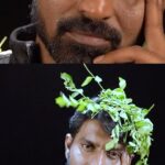 Ma Ka Pa Anand Instagram - Neeglum one stop solution Unga Hair Problemsku search pannaringala? Enketta Solution iruku, The Medimix Total Care Shampoo, Indha Shampoo la natural and Ayurvedic traditions and ingredients use pannirkanga 🌿🌿 Indha Shampoo use Panna, Conditioner use Panna thevai illa Ena ithu namma hair nourish and condition pannum🙌🏻 So Neeglum Unga Medimix Total Care Shampoo ennuke vangunga avanga for extra 25% Free! Offer Vandhu Stock last araivarikum Valid🎊 #MedimixTotalCareShampoo #Medimix #AVACholayil #NaturalHairCare #Ayurveda #ad