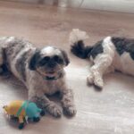 Ma Ka Pa Anand Instagram -