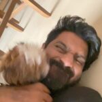 Ma Ka Pa Anand Instagram – Evening routine #puppy #shitzu