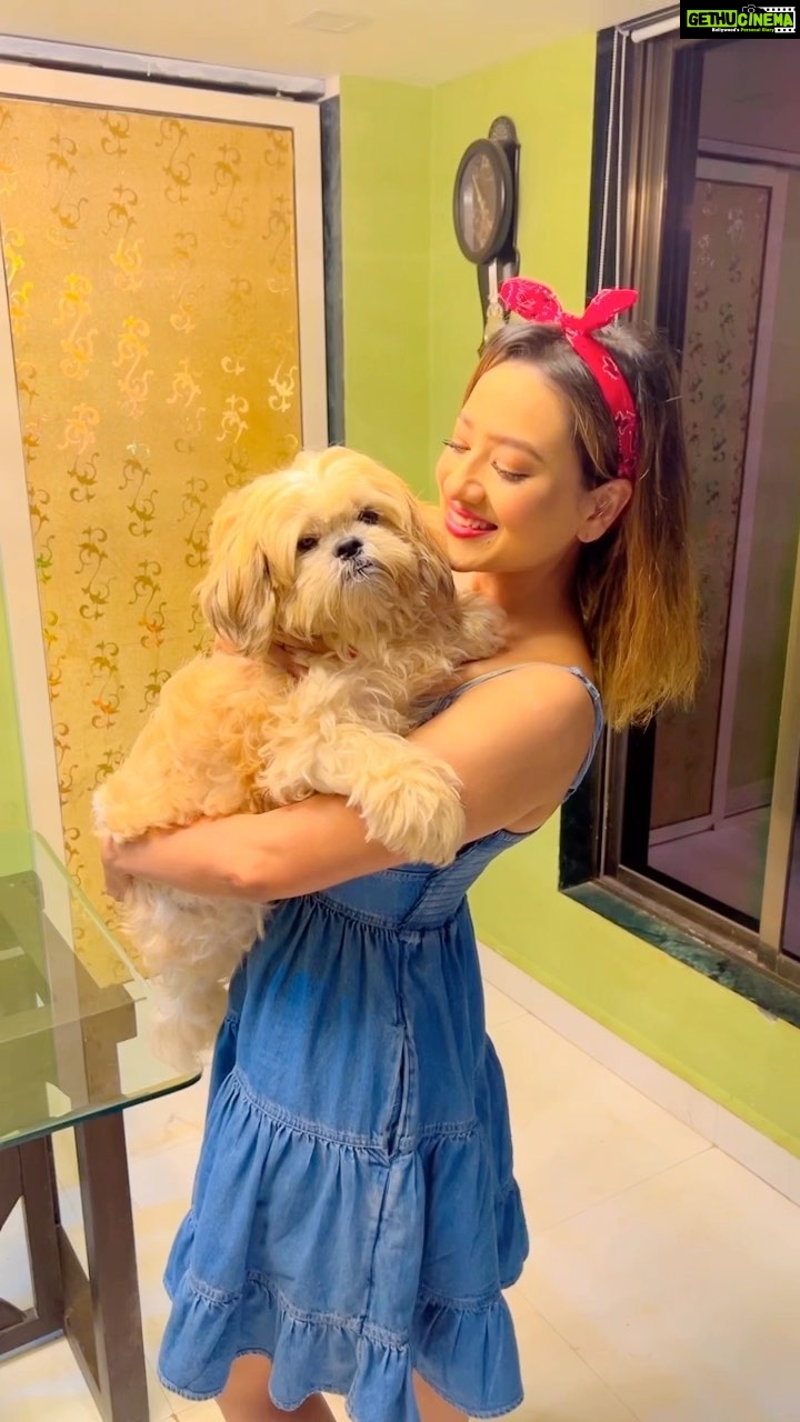 Madalsa Sharma Instagram - I have therapists in my life who have four paws….🐾🐾 @madalsa_petstories #reels #reelsinstagram #madalsasharma #kavya #petlife #petlovers #iloveyou #petsofinstagram #videooftheday #instadaily #instavideo #instagood #instamood #mood #trending #trendingreels #reelitfeelit #reelkarofeelkaro #reeloftheday #reelit #love #actorslife