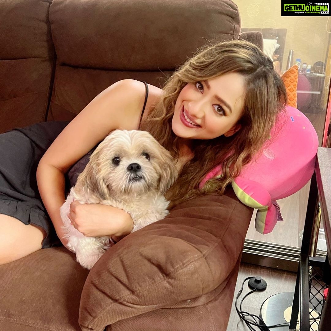Madalsa Sharma Instagram - Who is the best baby in the world!!!! It’s My Kikiiiiii❤️🥰😍😘 @madalsa_petstories #kiki #petsofinstagram #madalsasharma #kavya #picoftheday #postoftheday #instadaily #instapic #instagood #instamood #petlovers #baby #mood #love #actorslife
