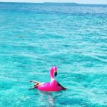 Madalsa Sharma Instagram - Photo dump👻 some beautiful memories and destinations….✈️🌴☀️🍉🥂 #photodump #memories ##madalsasharma #kavya #beautifuldestinations #travel #travelphotography #picoftheday #postoftheday #instatravel #travelgram #instadaily #instapic #instagood #instamood #mood #love #actorslife