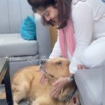 Madhavi Latha Instagram - Pets r stress busters #dogslover #pets