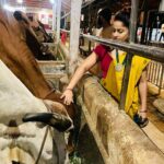 Madhavi Latha Instagram - Harekrishna golden temple #banjarahills #laxminarasimhaswamy #isckon