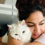 Madhavi Latha Instagram - Cat is not only a pet Its A Emotion #catlover #pets #cutie