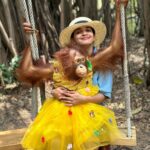 Malavika Krishnadas Instagram - Please Dont mind @thejusjyothi ‘s instagram post ka caption 🥲😏😵‍💫 Safari World
