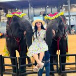 Malavika Krishnadas Instagram – Pattaya Spam ❤️🐘
.
#pattaya #nongnooch #sanctuaryoftruth #elephantshow #thailand #thaiculture