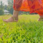 Malavika Krishnadas Instagram - Too late for this trend 😅 The “Adipoli” Song . VC : @greeshma_rathish . #adipolisong #adipoli
