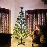 Malavika Krishnadas Instagram – Merry Christmas 🎄✨

.

#christmas #christmasdecor #christmastree #christmastime #christmaslights #december2021