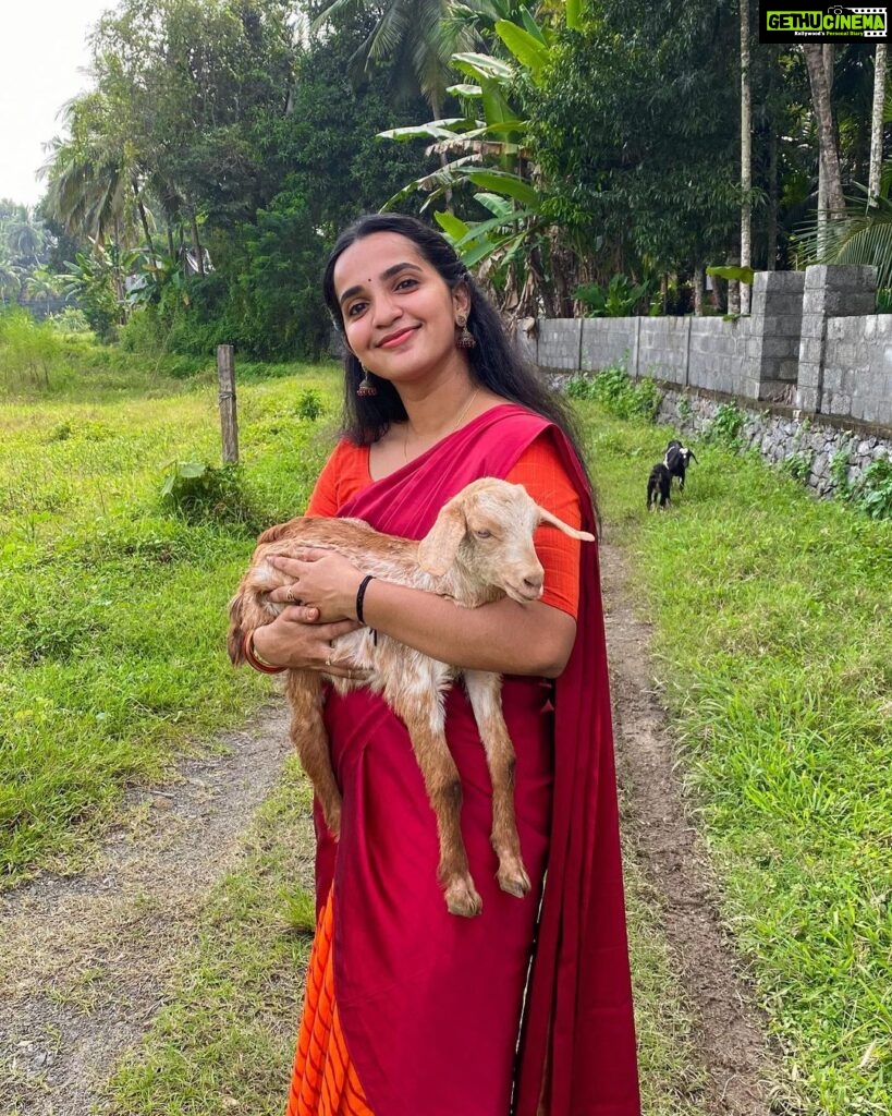 Malavika Krishnadas Instagram - Lucky enough be born in a countryside where lil blessings like these come along to lighten up your day. 🐐🦋🍃 . PC :@greeshma_rathish 🦋 . Goat : Chinnu 🐐