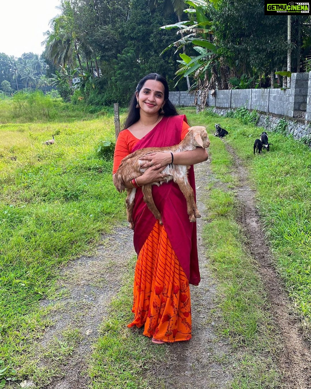 Malavika Krishnadas Instagram - Lucky enough be born in a countryside where lil blessings like these come along to lighten up your day. 🐐🦋🍃 . PC :@greeshma_rathish 🦋 . Goat : Chinnu 🐐
