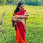 Malavika Krishnadas Instagram - Lucky enough be born in a countryside where lil blessings like these come along to lighten up your day. 🐐🦋🍃 . PC :@greeshma_rathish 🦋 . Goat : Chinnu 🐐